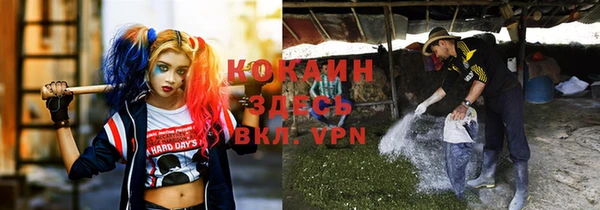 метадон Нея