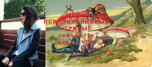 прущие крисы Новодвинск